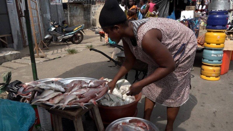 Quand le poisson devient luxe en terre de pêcheurs d’Adiaké (Reportage) Quand le poisson devient luxe en terre de pêcheurs d’Adiaké (Reportage)