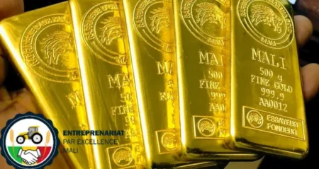 Mali : L’État clash le canadien Barrick Gold et installe la société russe Yadran pour raffiner