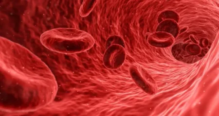 Journée mondiale de la drépanocytose :  sensibiliser pour mieux soigner