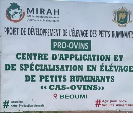 Sidi Touré accusé de s’être  accaparé des terres du village de Kongonoussou à Béoumi-Le  MIRAH  rétablit les faits
