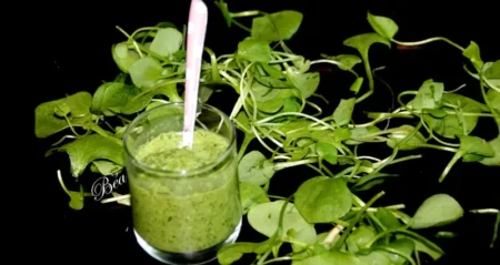 Le pourpier : l’herbe oubliée qui redonne de l’énergie et se cuisine en pesto détox