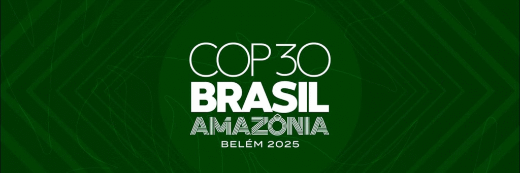 COP 30 au Brésil : quelles attentes pour les pays africains ?